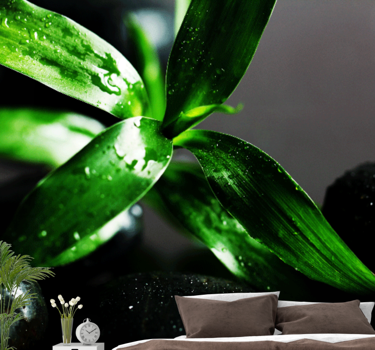 Fototapeta zenové černé kameny na vodní květině - TenStickers