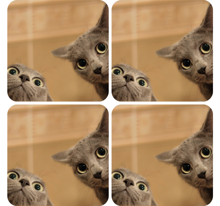 Roztomilé kočky modernípodtácek sada - TenStickers