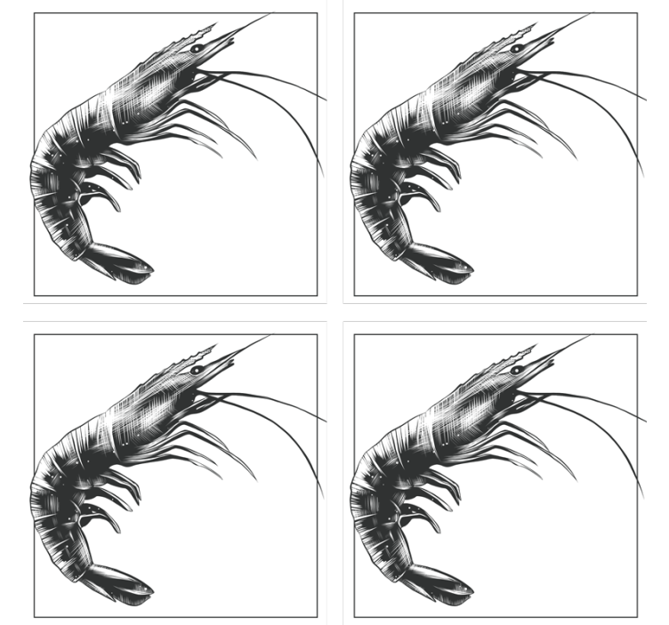 Moderní podtácek s ilustrovanou krevetou - TenStickers