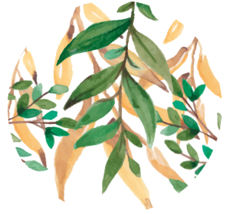 Pivní podtácek zelené listové botaniky - TenStickers