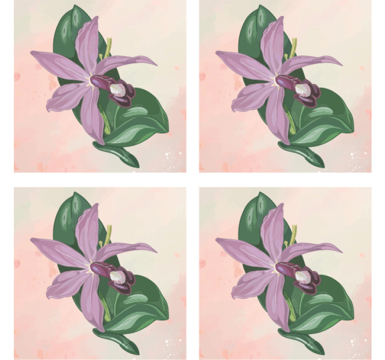 Moderní podtácek elegantní orchidejový květ - TenStickers