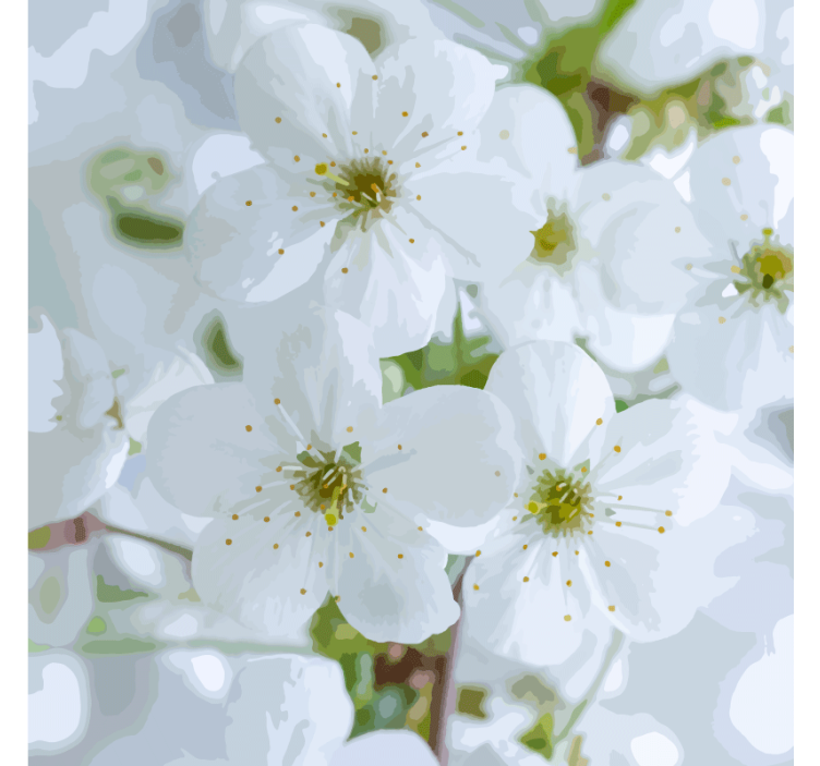 Efekt textury podtácků křehké třešňové květy - TenStickers