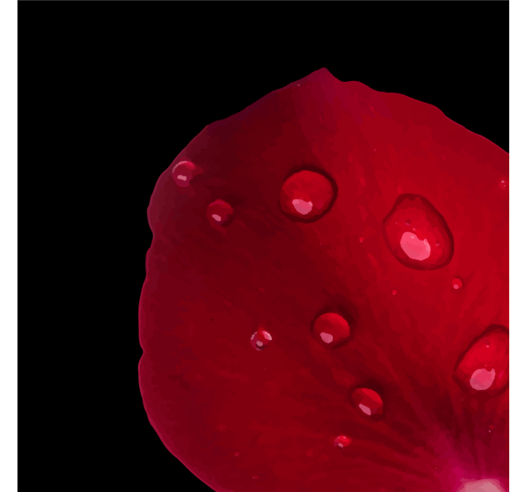 Efekt textury podtácků ranní růžové okvětní lístky - TenStickers