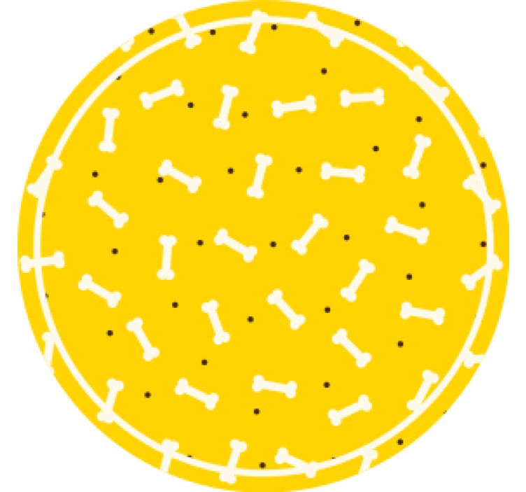 Blázen podtácek kulatý s kostkovým vzorem - TenStickers