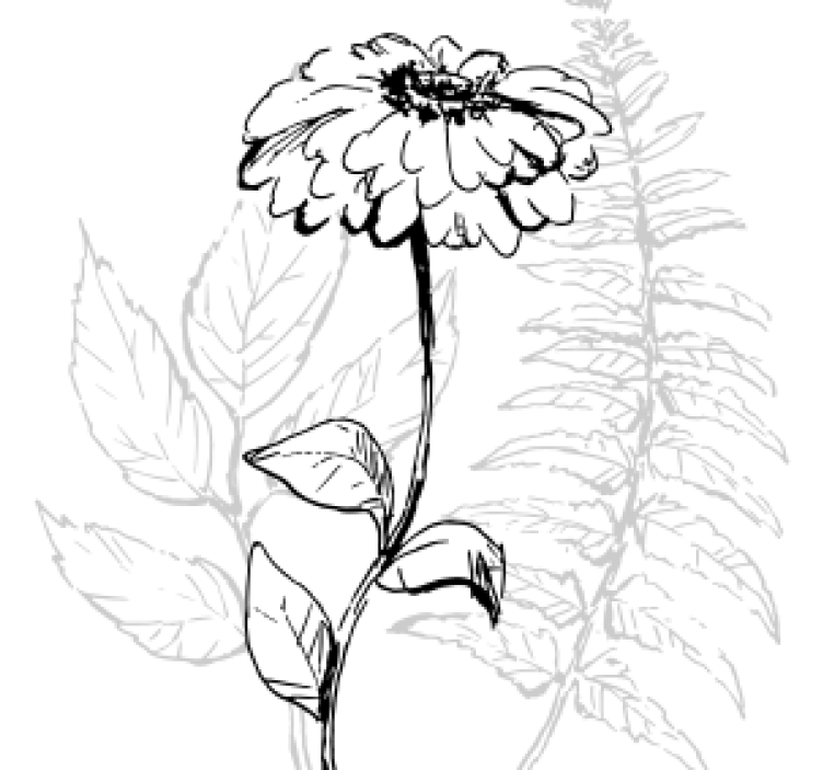 Efekt textury podtácků botanická linie umění - TenStickers