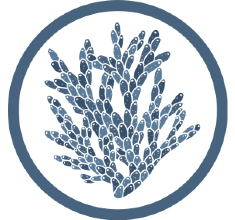 Efekt textury podtácků abstraktní korálový vzor - TenStickers