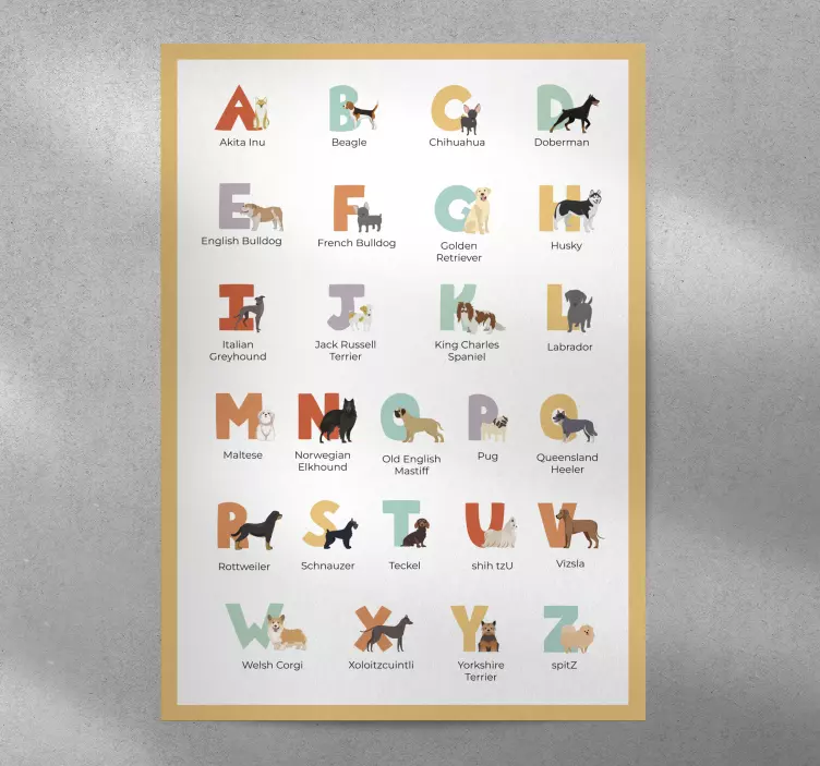 Plakát Abeceda podle psích plemen - TenStickers