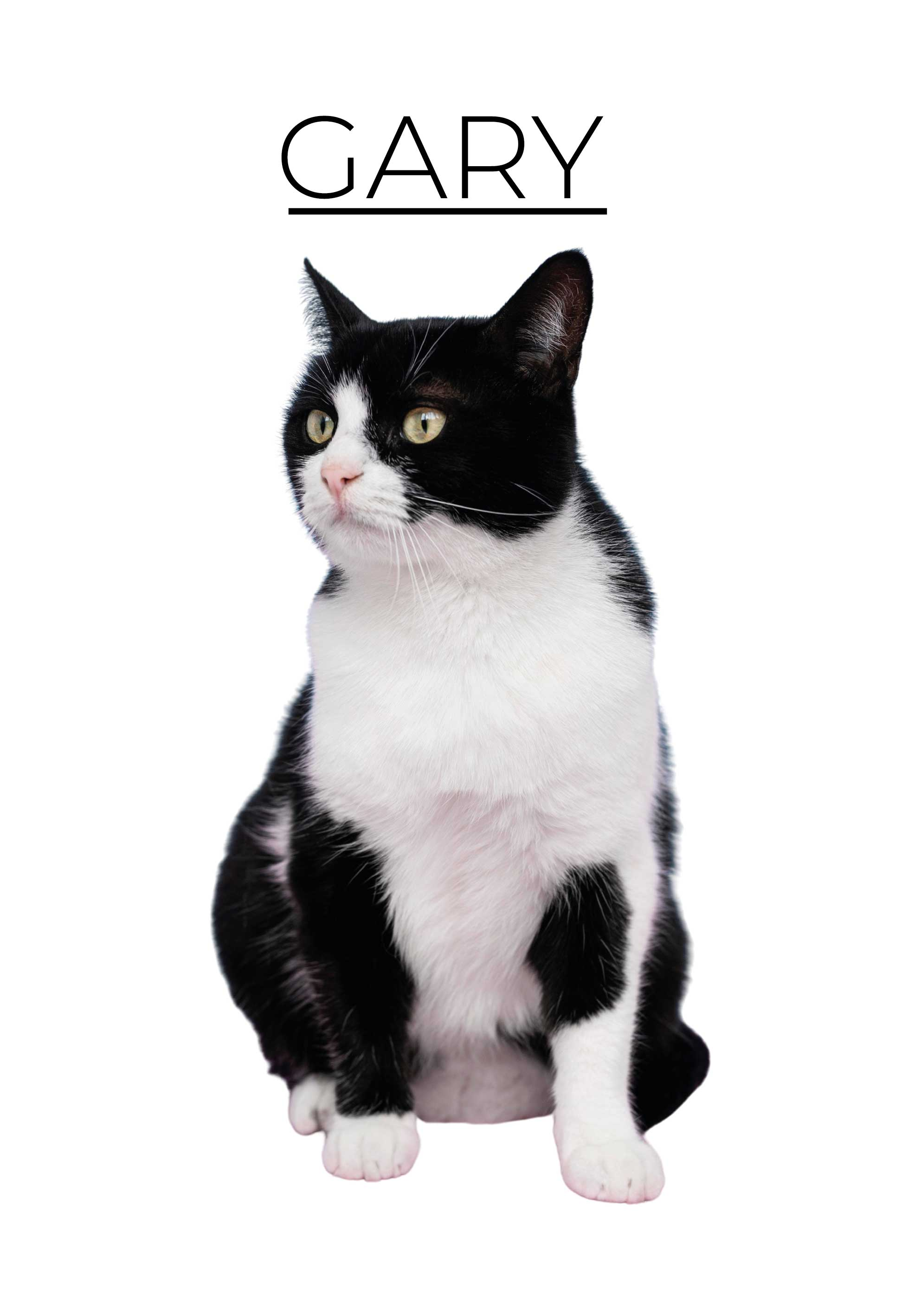 Personalizovaný minimalistický Plakát zvířat - TenStickers