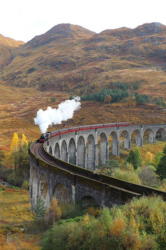 Jedoucí vlak realistický foto plakát - TenStickers