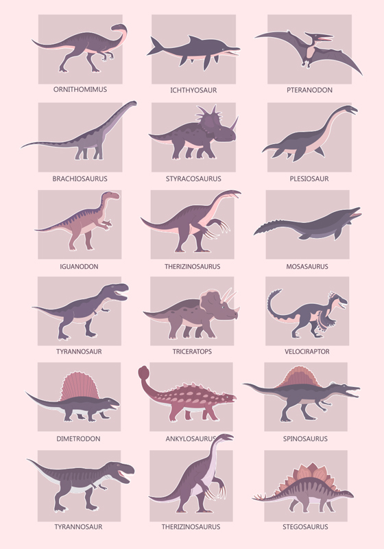 Různé typy Dinosauří plakát - TenStickers