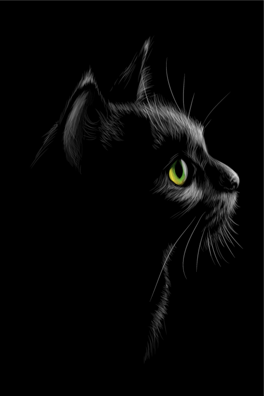 Plakát k výstavě zelenooké kočky - TenStickers