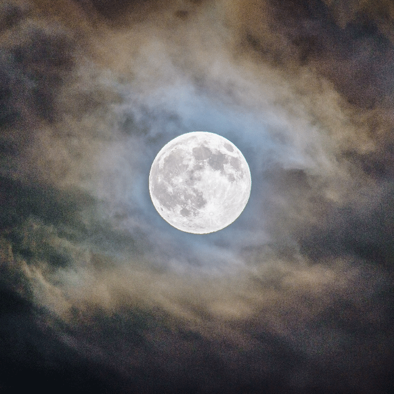 Plakát k výstavě noc úplňku - TenStickers