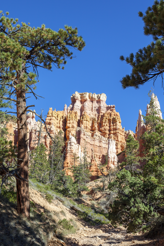Krajinný plakát bryce canyon - TenStickers