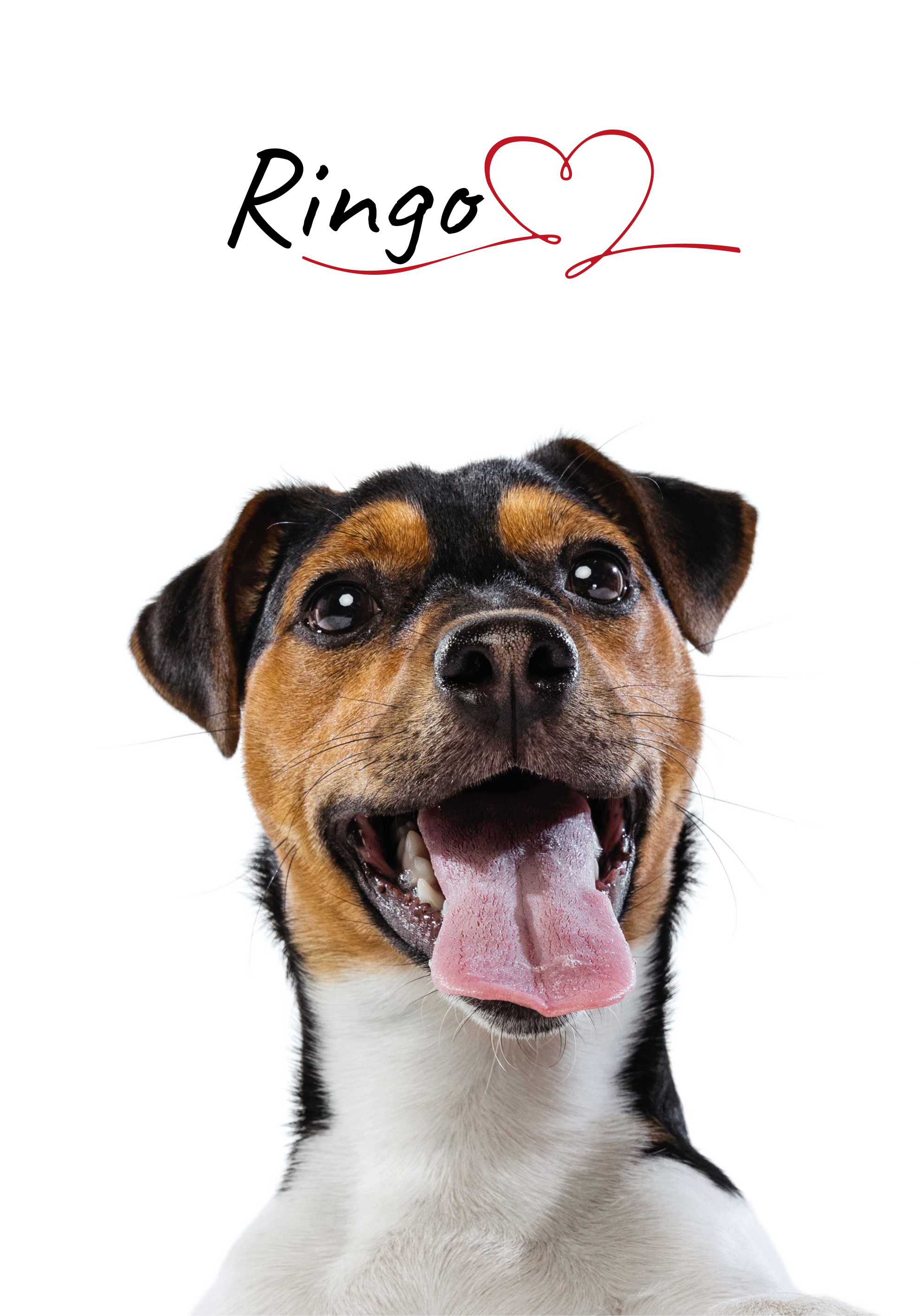 Vlastní plakát psí lásky na zeď - TenStickers