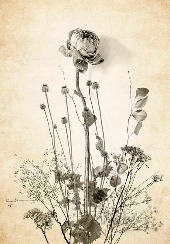 Kytice květin na béžovém pozadí Květinový plakát - TenStickers