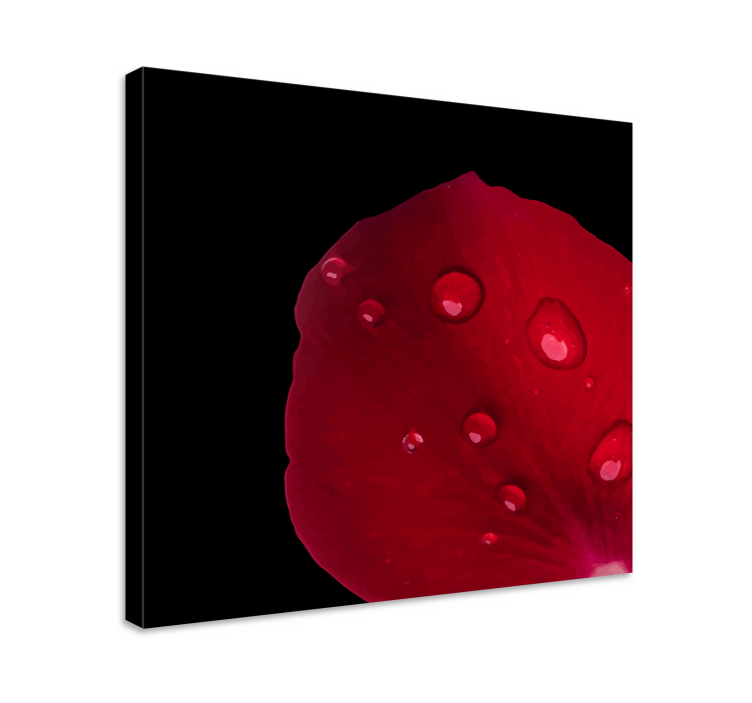 Obraza květin a rostlin detail okvětních lístků růže - TenStickers