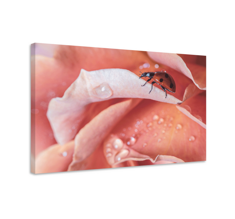 Obraza květin a rostlin beruška na růži - TenStickers