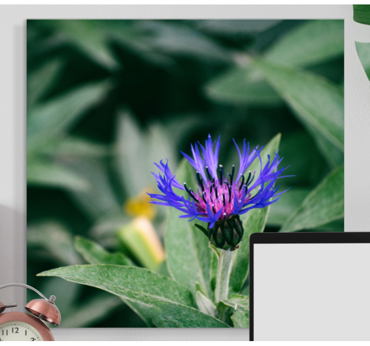 Chrpy v přírodním květinovém plátně - TenStickers