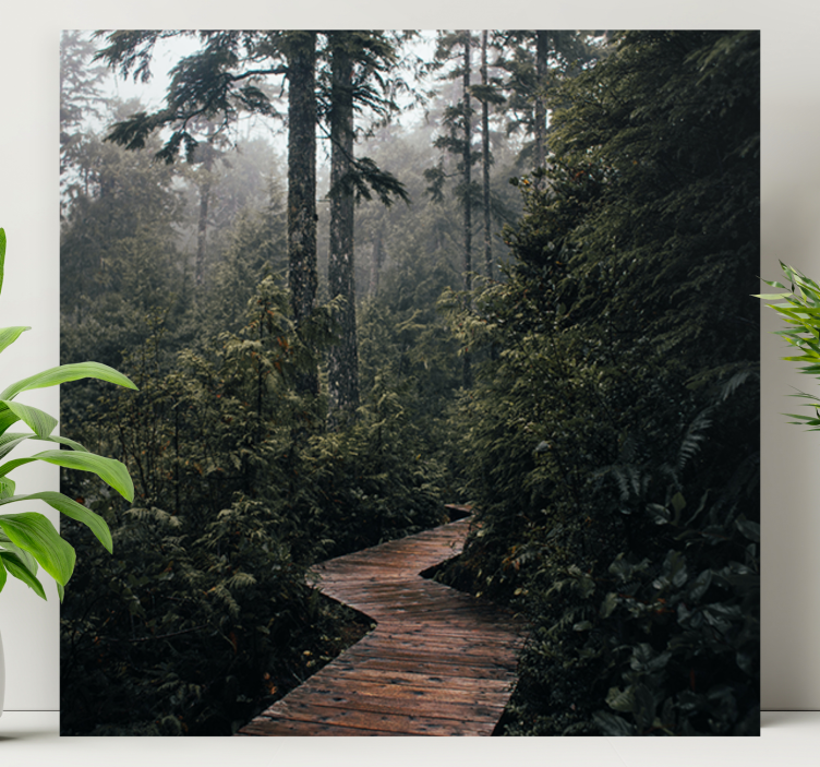 Obraz krajiny klidná lesní stezka - TenStickers