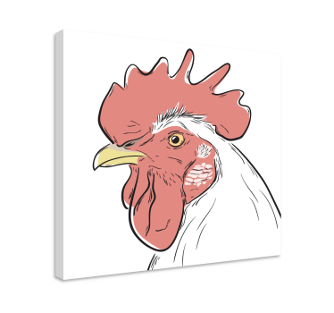 Bílé kuře portrét pták obraz umění zdi - TenStickers