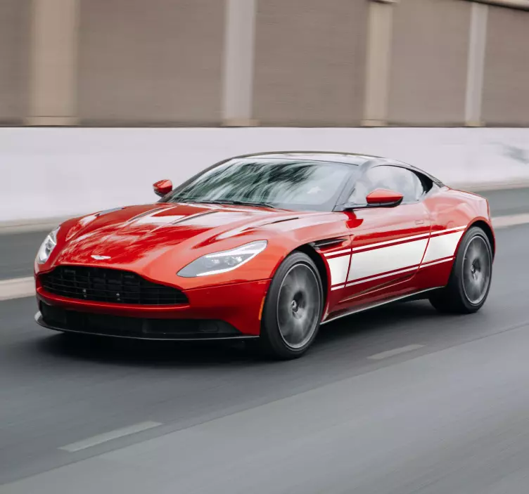 Samolepka na auto se závodním pruhem - TenStickers