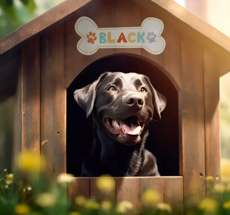 Samolepka se jménem pro psí boudu - TenStickers
