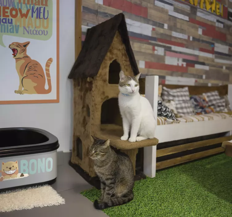 Krabice na kočičí stelivo Psi a kočky nálepka - TenStickers