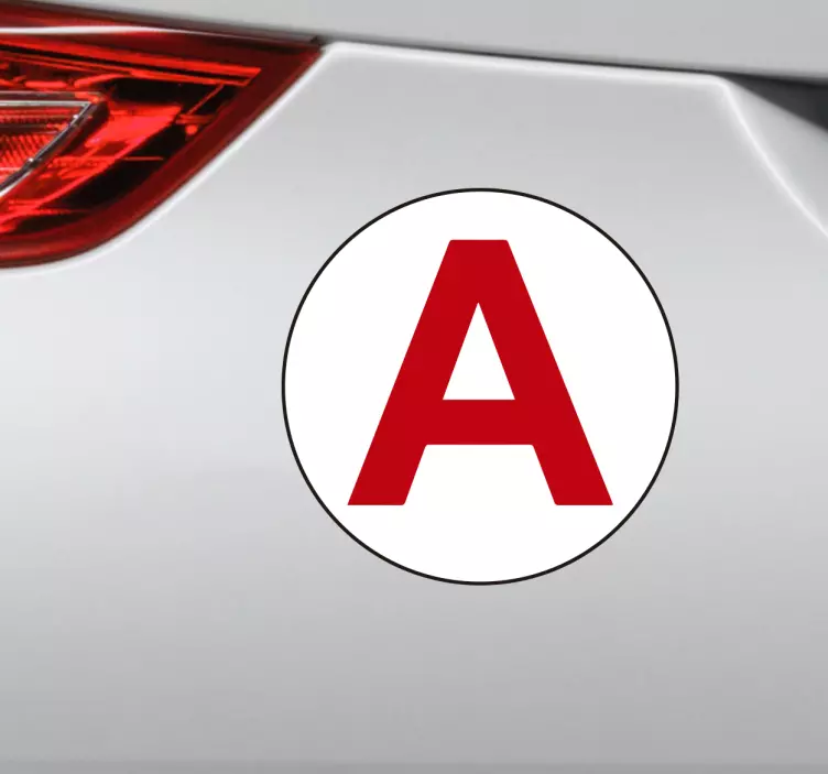 Vinyl řidič auto vinyl nálepka - TenStickers