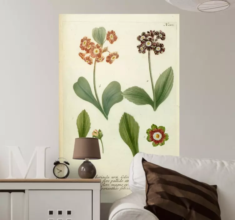 Nálepka květ auricula květina - TenStickers