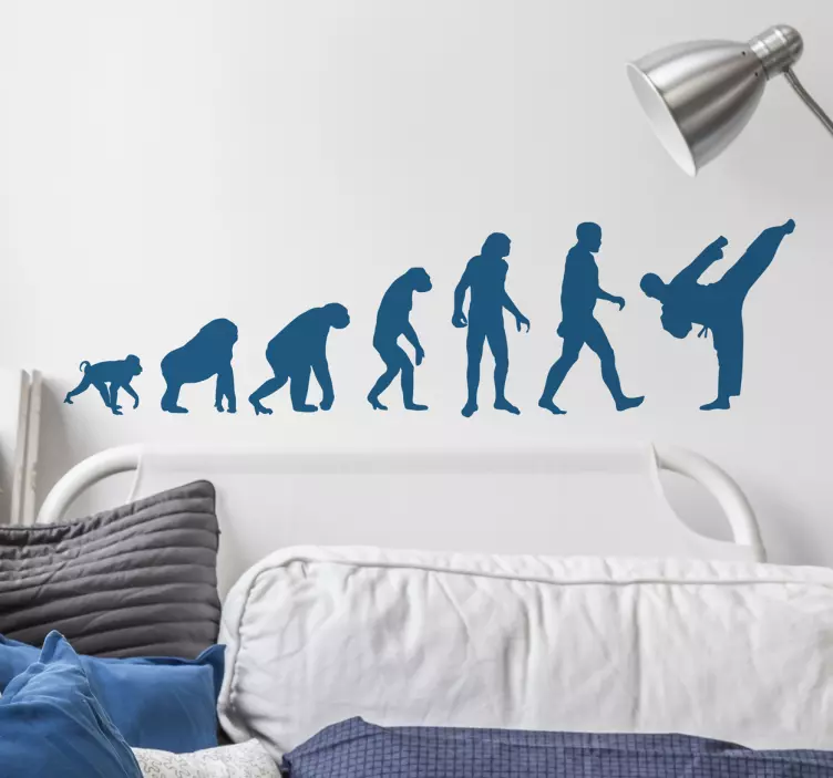 Vývoj karate - TenStickers