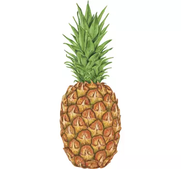 Ananas barevné potraviny obtisky - TenStickers