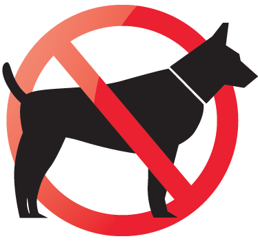 žádné psy nemají povolenou nálepku - TenStickers