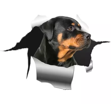 Samolepka rottweiller hole pet obtisky - TenStickers