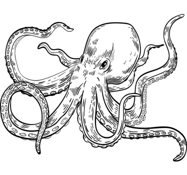 Ilustrace chobotnice Kuchyňská nálepka - TenStickers