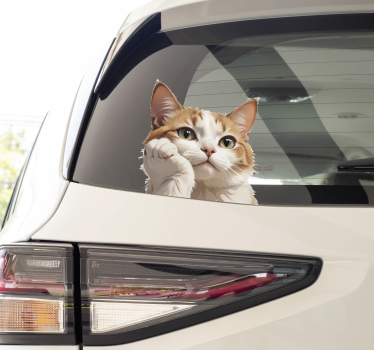 Kočičí myšlení samolepka na auto - TenStickers