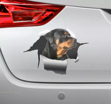 Samolepka rottweiller hole pet obtisky - TenStickers