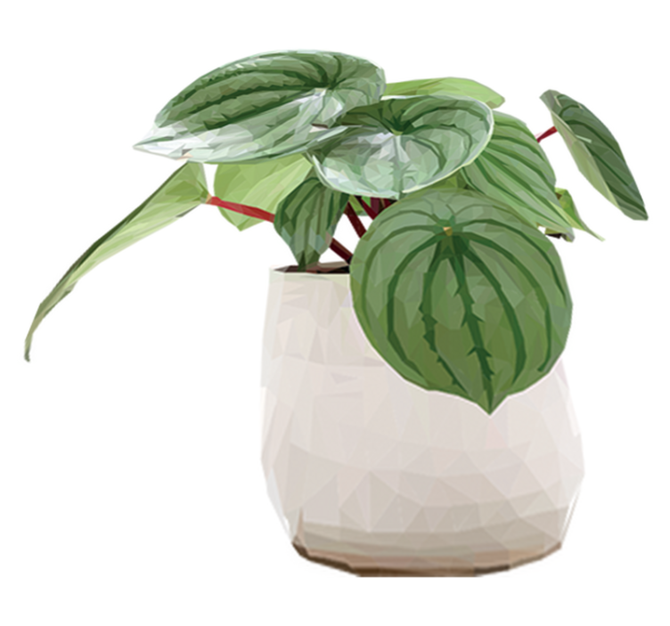 Vinylový koberec s květinami a rostlinami domácí rostlina - TenStickers