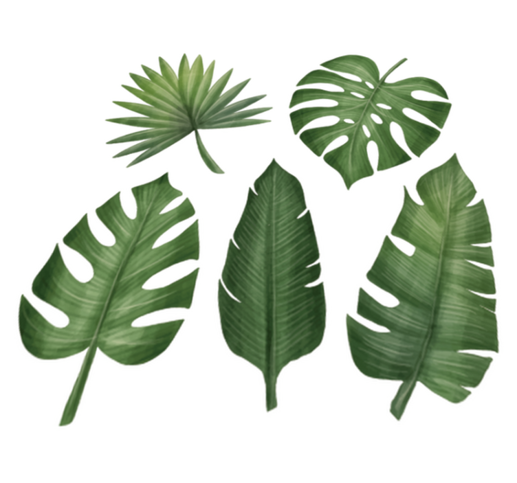 Vinylový koberec s květinami a rostlinami velké zelené listy - TenStickers