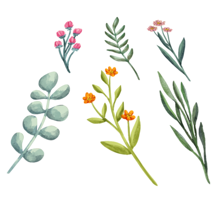 Vinylový koberec s květinami a rostlinami větve rostlin - TenStickers