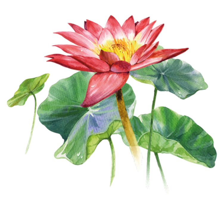 Vinylový koberec do ložnice s iluzí vodního lotosu - TenStickers