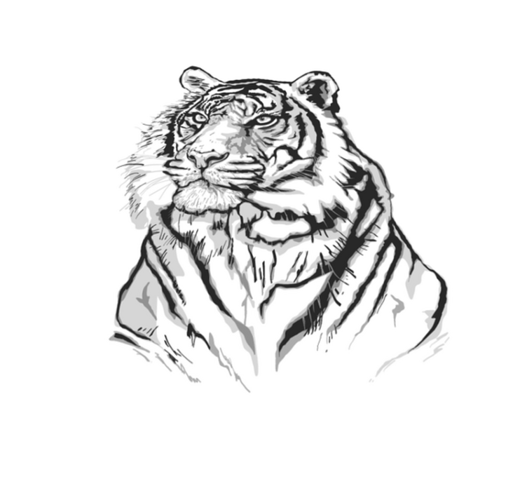 Koberec ze zvířecího vinylu s bílým tygrem - TenStickers