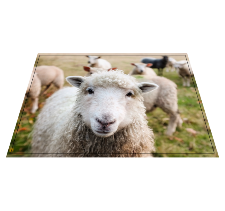 Zvířecí ovce zvířecí koberec dekorace - TenStickers