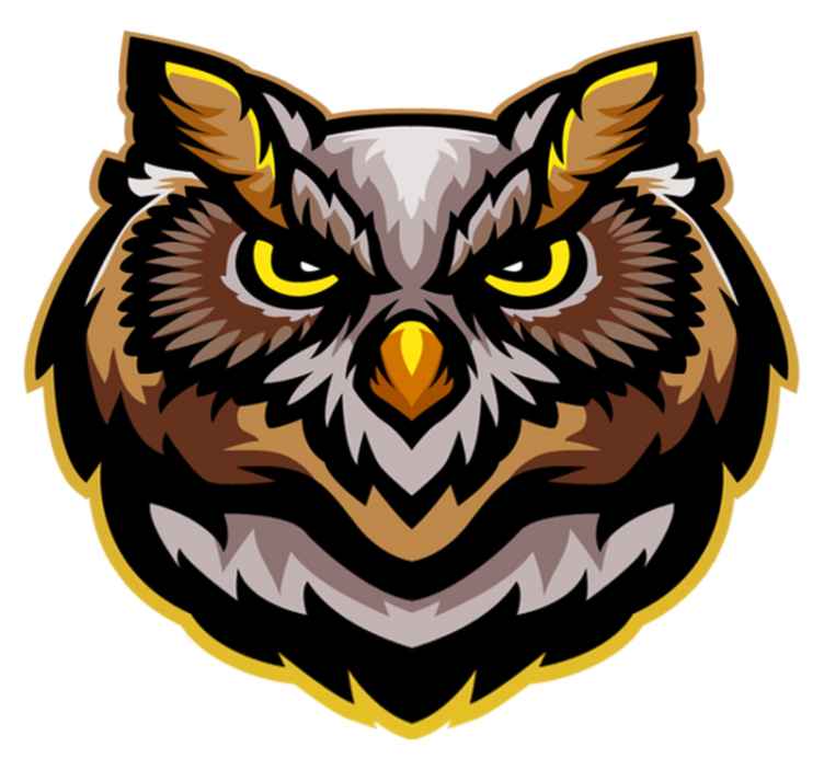 Umění sovího obličeje Zvířecí vinylový koberec - TenStickers