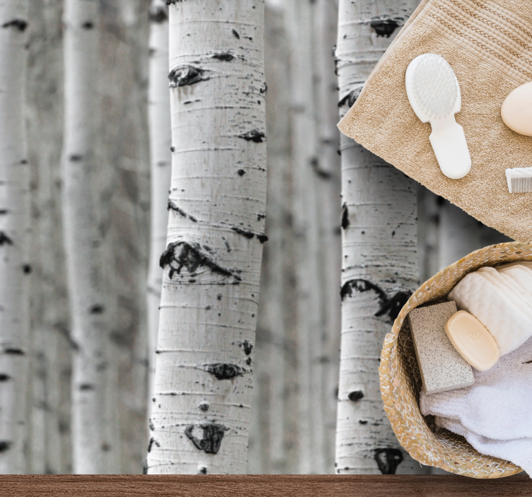 Bílá bříza lesní textura koberec - TenStickers