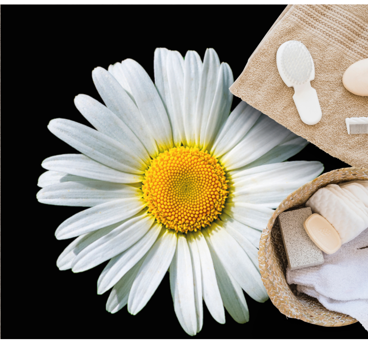 Květ sedmikrásky Vinylový koberec s květinami a rostlinami - TenStickers