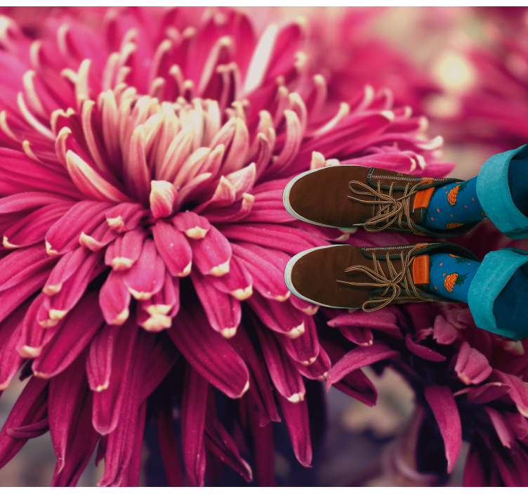 Vinylový koberec s květinami a rostlinami chryzantéma - TenStickers