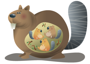 Zvířecí vinylový koberec matka veverka - TenStickers