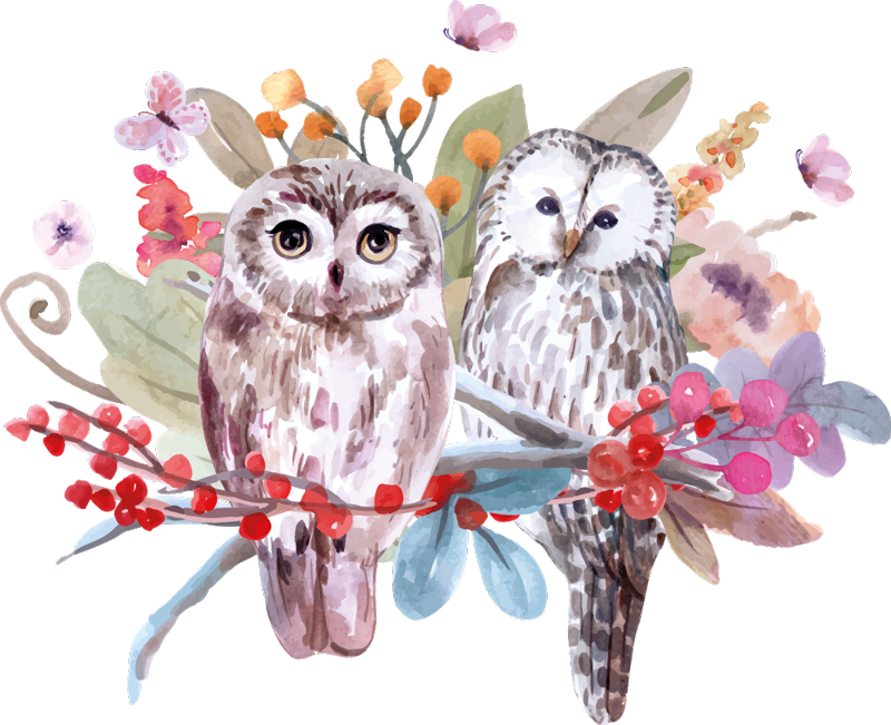 Zvířecí vinylový koberec sovy v přírodě - TenStickers