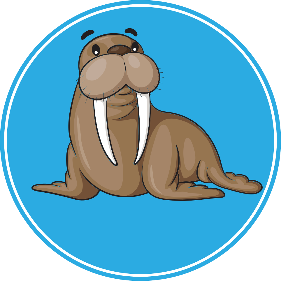 Zvířecí vinylový koberec roztomilý lachtan - TenStickers