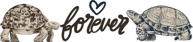 Zvířecí vinylový koberec navždy s láskou želv - TenStickers
